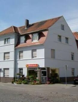 Frisch renovierte 3-Raum Wohnung in Nord - Stendal (Hansestadt)