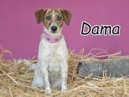 Hat Dama auch Ihr Herz berührt? - Essingen (Rheinland-Pfalz)