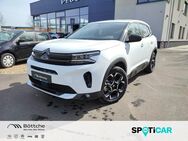 Citroën C5, 1.6 Aircross Feel Pack Hybrid Assistenzsysteme, Jahr 2023 - Potsdam