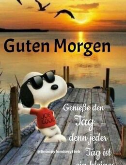 Suche nette Frau -Dame- Freundin für Freizeitgestaltung gemeinsames Leben und Glücklich sein - Neustadt (Weinstraße)