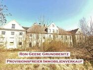 * PROVISIONSFREI * Repräsentatives Schloss in Züsedom - 35 Minuten bis zur Ostsee - Wohnen-Gewerbe-Produktion - Finanzierung möglich - Siehe Text * - Rollwitz