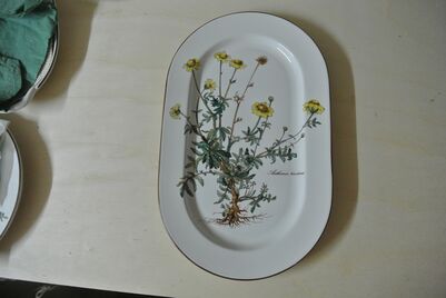 V & B Botanica Fleischplatte Mittel - Alfter