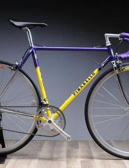 Pinarello Treviso Rennrad, Rahmenhöhe 53 cm, Shimano 600, Columbus SL Rahmen, toller Rahmen aus italienischer Prestigeschmiede, komplett überholt - Varel