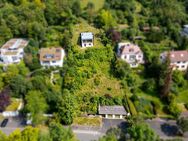 Einzigartiges Grundstück im Steinbachtal mit unbeschreiblicher Aussicht - Würzburg