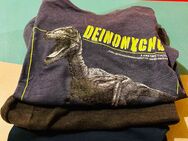 T- Tshirt Set Kind 3 Stück - Dorfen
