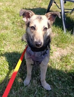 Debby möchte eine Familie - Berlin