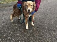 PATCH hofft auf ein Wunder 🍀♥️ - München