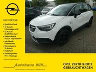 Opel Crossland, (X) 2020, Jahr 2020 - Blankenburg (Harz)