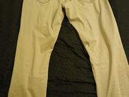 Westbury Herren Hose - Düsseldorf