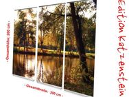 Bestattungsbedarf: L-Banner Display-Set "Stadtparkteich im Herbst - 300 x 200 cm - hochwertige Dekoration für Bestattung, Trauerhalle, Bestatter - Wilhelmshaven Zentrum