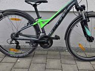 Bulls Mountainbike - Fürth