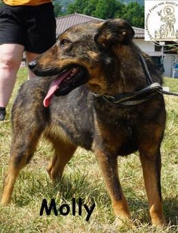 Molly Ein bisschen Ruhe und viel Liebe - Kissing