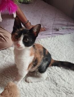 Maya die Kämpferin - Garbsen