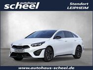 Kia pro cee'd, 1.5 T-GDI 140 DCT7 GTL, Jahr 2024 - Leipheim