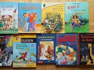 gebundene Bücher Kind Jugend Schwestern, Karo Karotte, Hexenschule, Karla, Hexe Lilli, Leseförderung, Lernkrimi Circus, Salamander - Krefeld