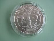 Xxxxx1 One Dollar 1999 Gedenkmünze in Silber Yellowstone Nationalpark - Bremen