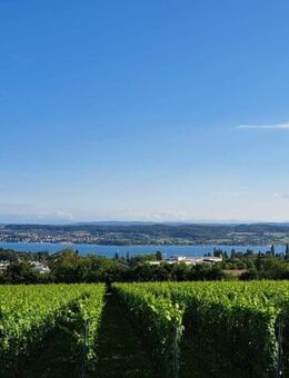 schöne Eigentumswohnung in Überlingen mit Seeblick Bodensee - Überlingen