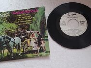 Single 1965 Vinyl Schallplatte - Landau (Pfalz)