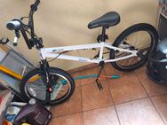 Kinder BMX von hiland reedem - Halsbrücke