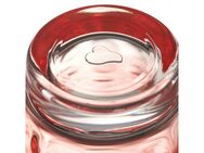 LEONARDO Longdrinkglas OPTIC, Glas, 300 ml, 6-teilig