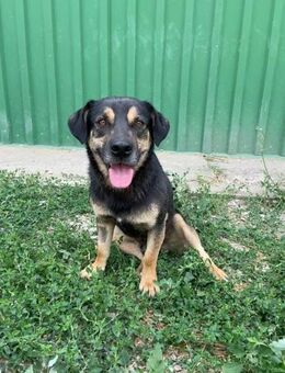 Liebe statt Straße für Jimmy - Berlin