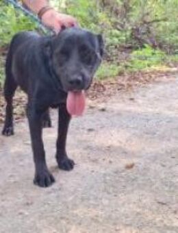 Coole Erika - Ellerbek