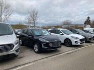 Ford Kuga Plug-In Hybrid Titanium - Weißenburg (Bayern) Zentrum