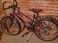 26" - 18 Gang - Mountainbike Kinder - Dresden