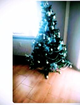 Weihnachtsbaum mit Schmuck - Duisburg