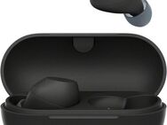 Sony WF-C710N In-Ear-Kopfhörer (Active Noise Cancelling (ANC), Freisprechfunktion, Multi-Point-Verbindung, Rauschunterdrückung, Sprachsteuerung, A2DP Bluetooth, AVRCP Bluetooth (Audio Video Remote Control Profile), Bluetooth, HFP, HSP)
