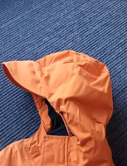 Winterjacke von Jack Wolfsskin - Biedenkopf