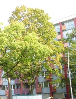 Schöne Eigentumswohnung mit Loggia und Stellplatz in guter Lage in 10789 Berlin-Schöneberg - Berlin