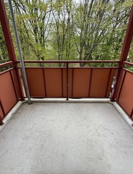 Wohnen an der Humboldthöhe / Bad mit Dusche + Balkon u.v.m. - Chemnitz