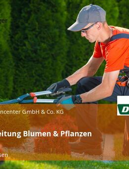 Gruppenleitung Blumen & Pflanzen (m/w/d) - Oggelshausen