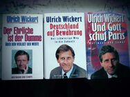 3 Bücher von Ulrich Wickert zusammen 3,- Essays Werte Deutschland Paris Hoffmann und Campe Hardcover - Flensburg