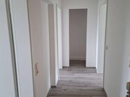 Neu renovierte 2 Raum-Wohnung im Erzgebirge - Hermsdorf (Erzgebirge)
