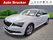 Skoda Superb Combi Ambition 4x4 2.0 TDI+Alufelgen+Navi+Xenon - Marktredwitz