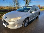 Peugeot 407 WS Diesel Platinum 2.8 HDI 205 Bi-Turbo - Altenholz