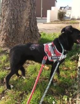 Tikva PLZ 52... Pflegestelle - Dreikirchen