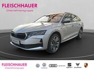 Skoda Octavia, 2.0 TDI Combi Selection digitales, Jahr 2025 - Mönchengladbach