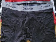 Enge Boxer CK Men - Pfullingen