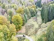 0,8 ha Landwirtschaftsfläche im Thüringer Wald - Schleusegrund