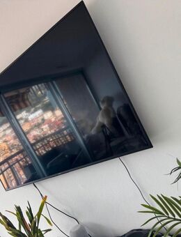 Großer Sony TV 75 zoll - Deggendorf