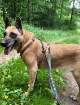 ‼️ RUBY in 91616 Neusitz 🆘🆘🆘 - München
