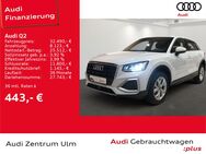 Audi Q2, advanced 35 TFSI, Jahr 2024 - Ulm