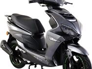 Alpha Motors Motorroller Powermax 50 ccm 45 kmh EURO 5 (mit/ohne Topcase), 50 ccm, 45 km/h, Euro 5