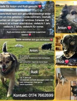 Rudi und Hugo - Horka