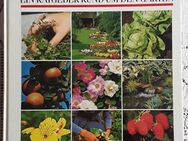 Der Garten - Planung Gestaltung Pflege Ein Ratgeber rund um den Garten geb. Ausgabe - Apolda