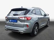 Ford Kuga 2.0 EcoBlue Aut. ST-LINE X - Hildesheim