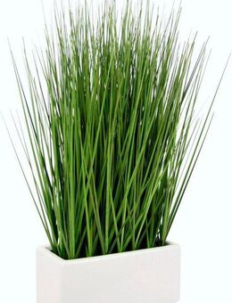 Kunstgras Gras, I.GE.A., Höhe 45 cm, in Keramikschale